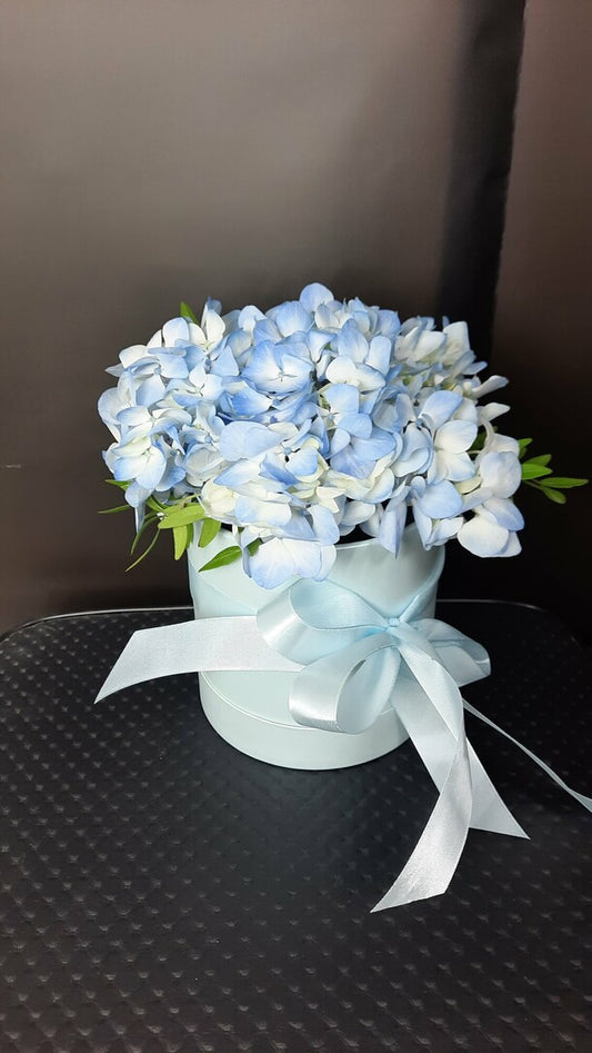 Hydrangea in a Hat Box