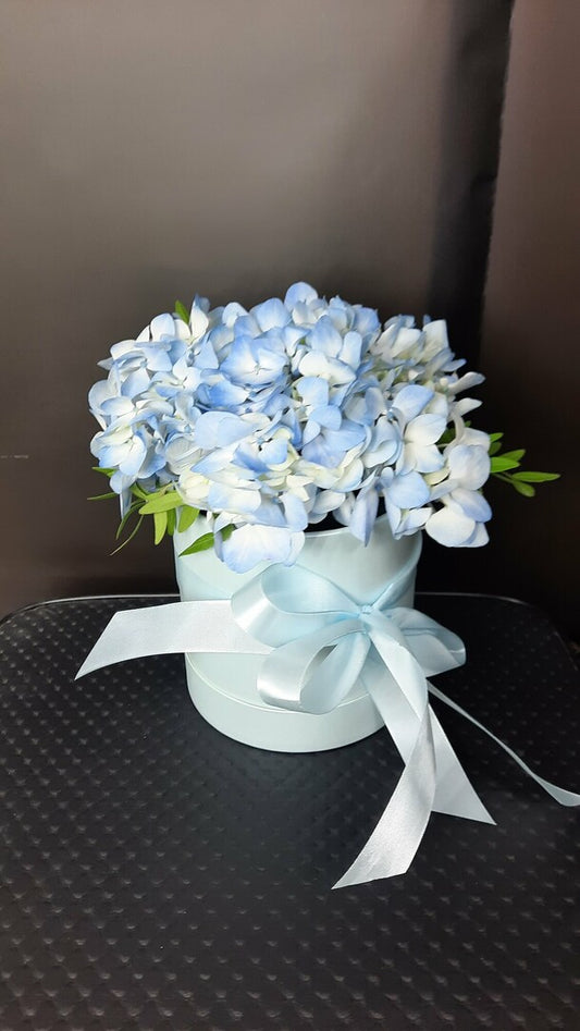 Hydrangea in a Hat Box