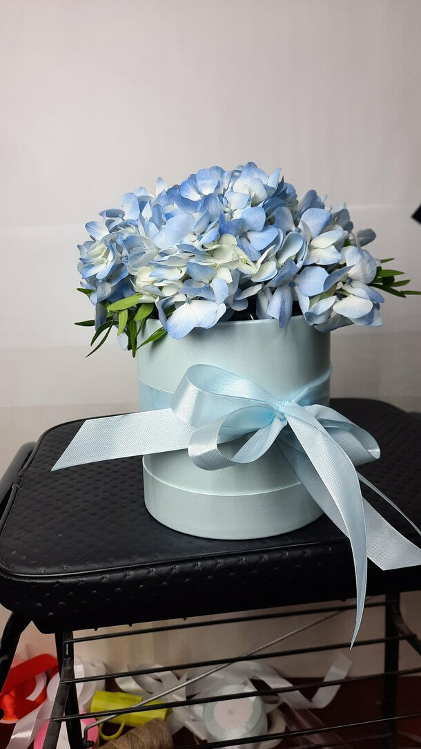 Hydrangea in a Hat Box