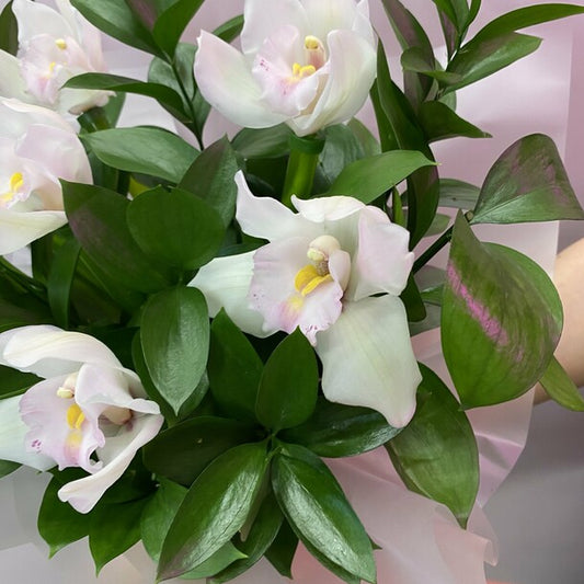 A box of white orchids