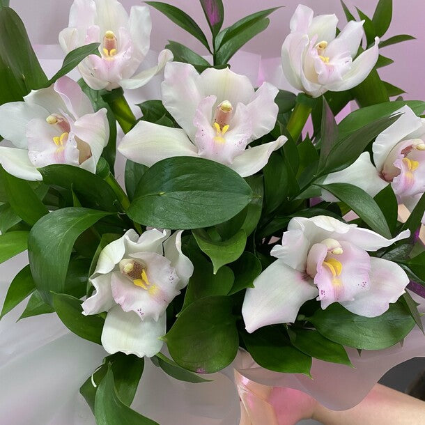 A box of white orchids