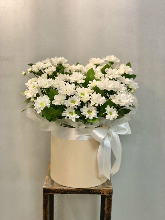 Chrysanthemum daisies in a box