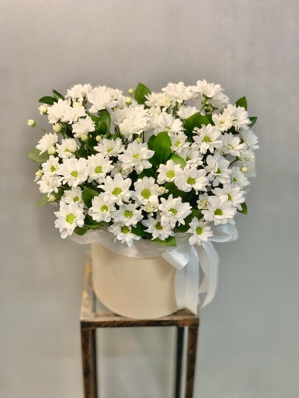 Chrysanthemum daisies in a box
